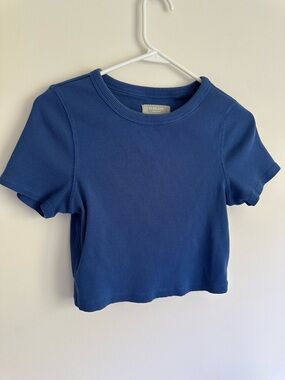 EVERLANE | Cropped Blue Cotton Tee